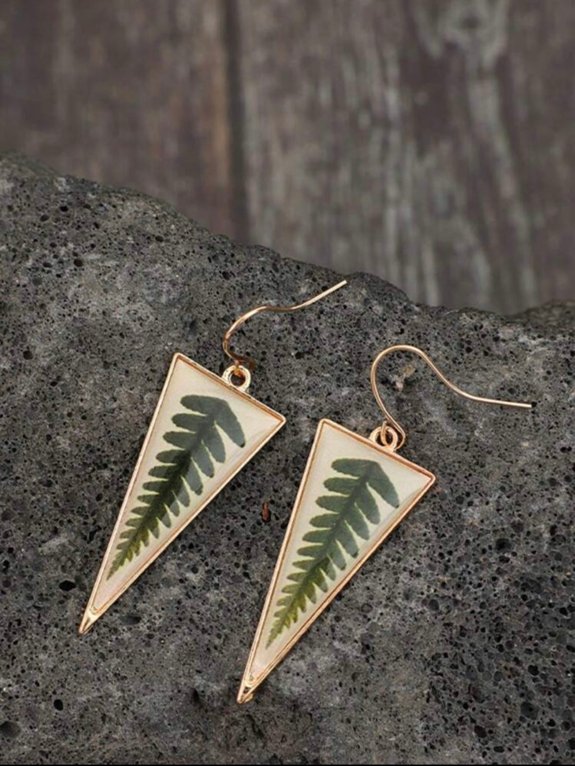 Fern Triangle