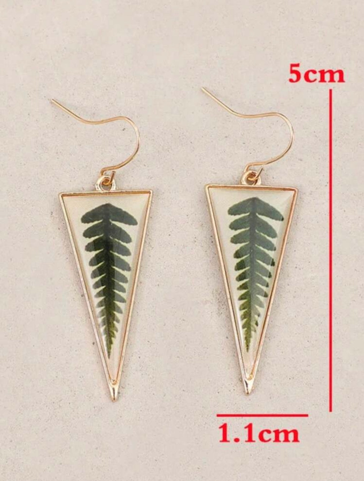 Fern Triangle