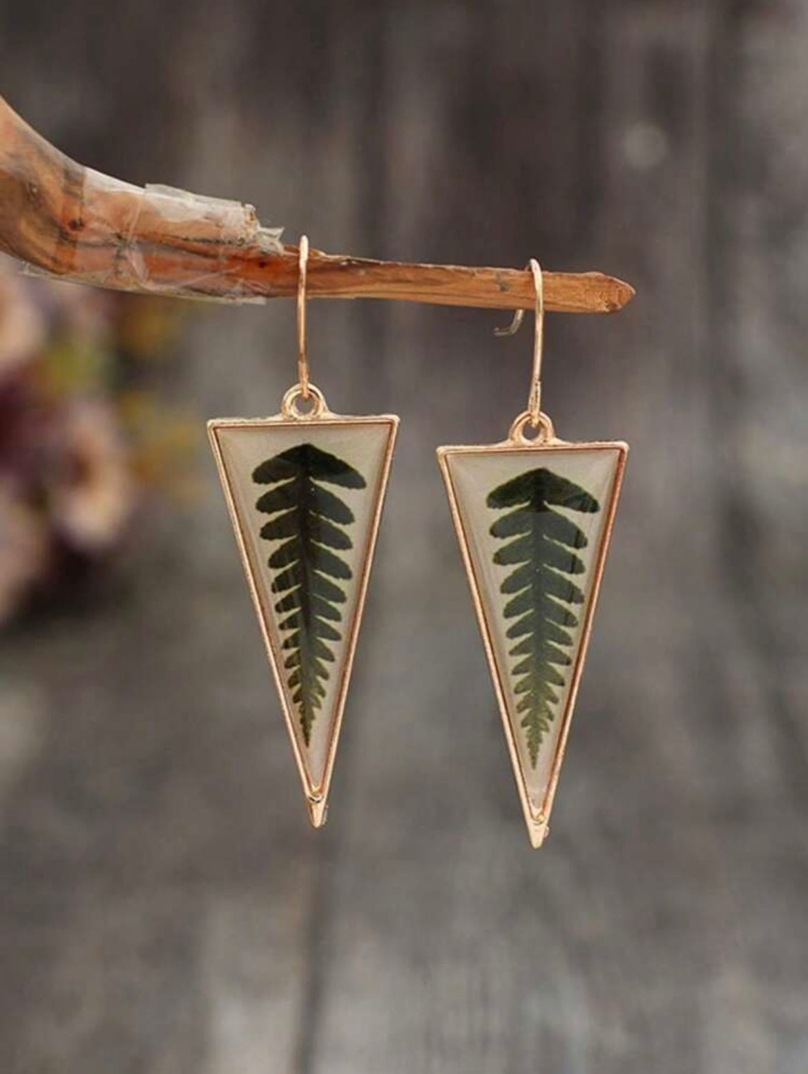 Fern Triangle