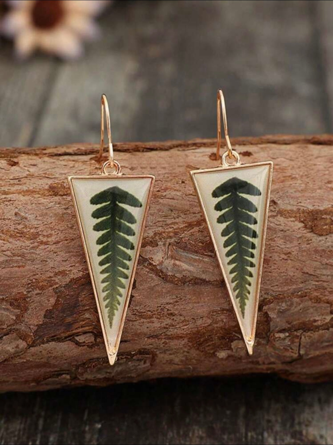 Fern Triangle