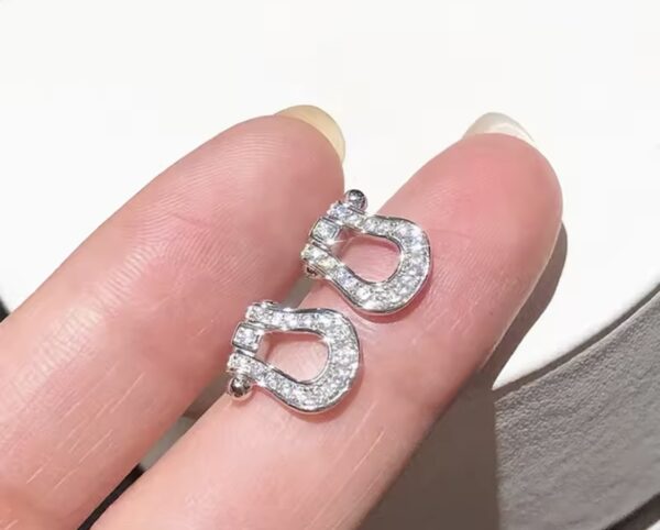 Horseshoe - Image 4